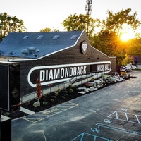 Diamondback Music Hall, Ann Arbor, MI