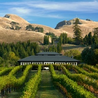 Black Barn Vineyards, Havelock North