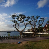 Embarcadero Marina Park North, San Diego, CA