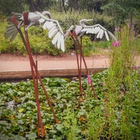 Commonwealth Park, Canberra