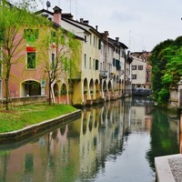 Treviso