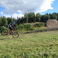 Hillbilly Bike Park, Ål