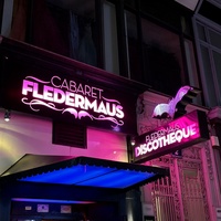 Fledermaus, Vienna