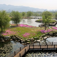 Samnak Ecological Park, Pusan