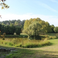 Parco urbano, Porto