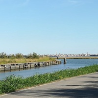 Parco di San Giuliano, Venezia