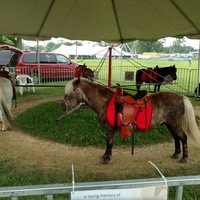 Lucas County Fairgrounds, Maumee, OH