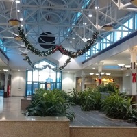Concerti rock in Northfield Square Mall, Bourbonnais, IL Northfield Square Mall, Bourbonnais, IL