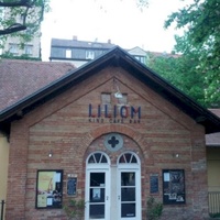 Liliom Kino, Augusta