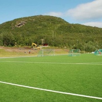 Skarven, Skjervøy