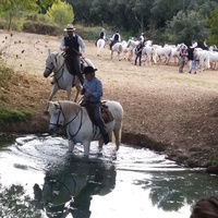 Espace Cadoule, Vendargues