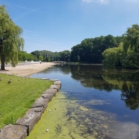 Zuiderpark, Rotterdam