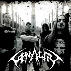 Carnality