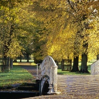 National Trust - Morden Hall Park, Londra