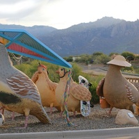 Naranja Park, Oro Valley, AZ