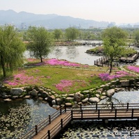 Concerti rock in Samnak Ecological Park, Pusan Samnak Ecological Park, Pusan