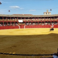 Plaza de Toros, Zamora