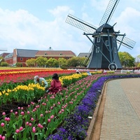 Huis Ten Bosch, Nagasaki