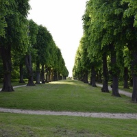 Søndermarken, Copenaghen