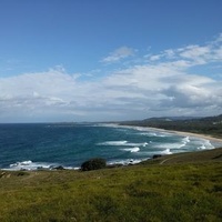 Woolgoolga