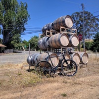 Love Field, Point Reyes Station, CA