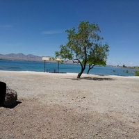 Lake Havasu State Park, Lake Havasu City, AZ