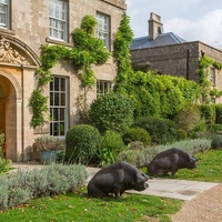 THE PIG Hotel, Bath