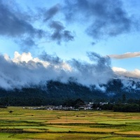 Ziro Terreno del Festival, Ziro