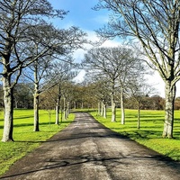 Roundhay Park, Leeds