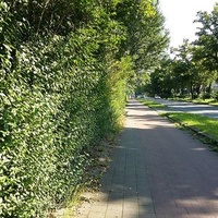 Edegem