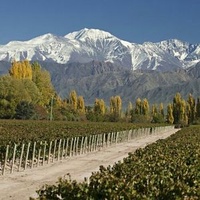 Mendoza