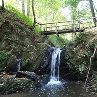 Großbachtal, Enkirch