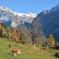 Grindelwald