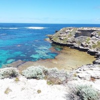 Rottnest Island