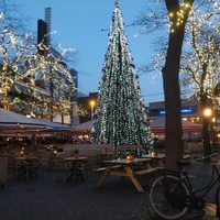 Grote Markt, L'Aia