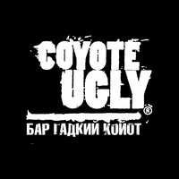 Coyote Ugly, Mosca