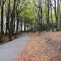 Vålandsskogen, Stavanger