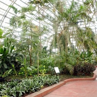 Garfield Park Conservatory, Chicago, IL