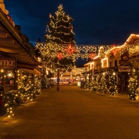 Pullman City, Passavia