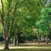 Luitpold Park, Bad Kissingen