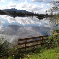 Cheadle Lake Park, Lebanon, OR