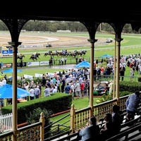 Bendigo Jockey Club, Melbourne