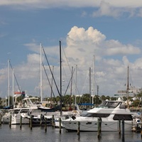 Downtown, St. Petersburg, FL