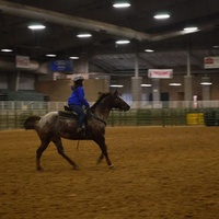 Salt Lake County Equestrian Park, South Jordan, UT