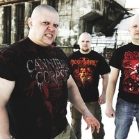 Verminous Mind 2025 Verminous Mind