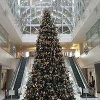 California Market Center, Los Angeles, CA