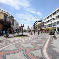 Edirne