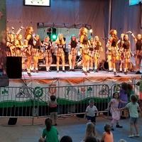 Sito del Festival Irlandese dello Iowa, Waterloo, IA