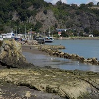 Distretto di Whakatane