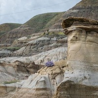 Drumheller